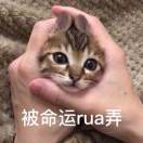 用户