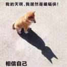 用户