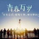 用户