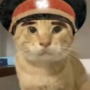 用户