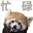 用户