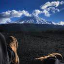 用户